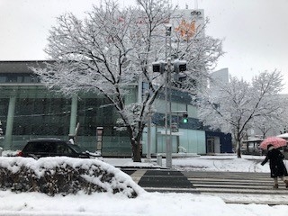 名古屋中心部の雪景色.jpg