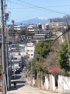 強風のお陰で至近に見えた伊吹山.jpg