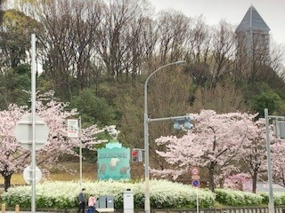 花曇りの東山動物園.jpg